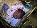 Picture 012